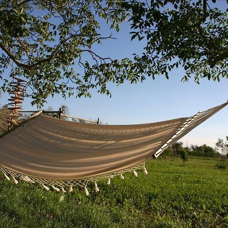 Bed and Breakfast I Fichi Bianchi Cutrofiano Zewnętrze zdjęcie