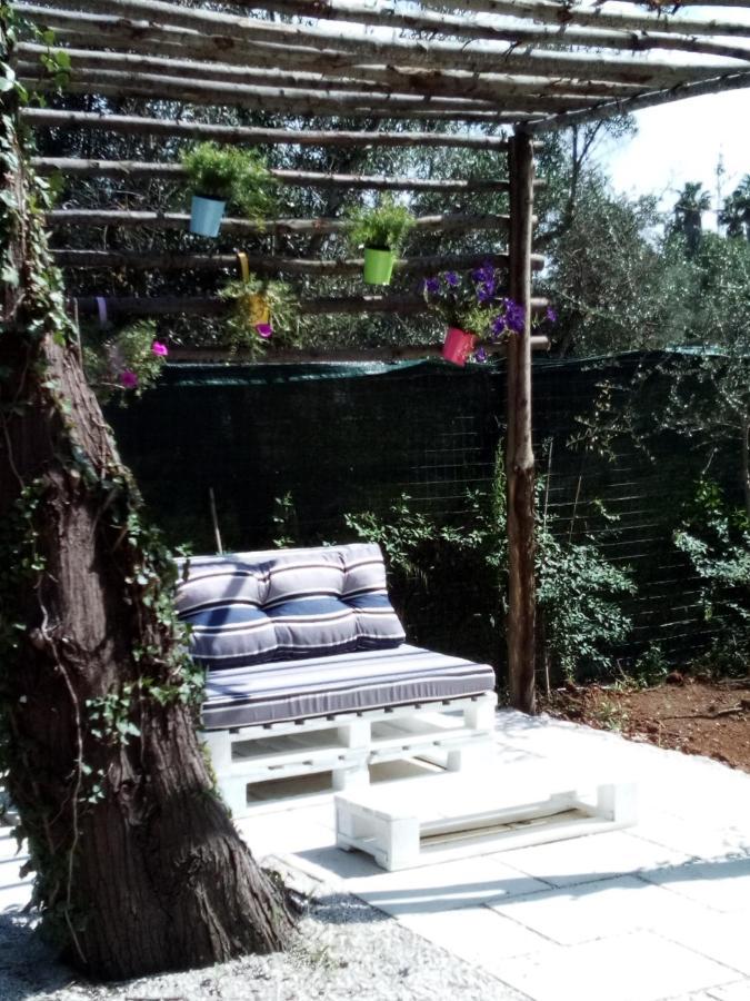 Bed and Breakfast I Fichi Bianchi Cutrofiano Zewnętrze zdjęcie