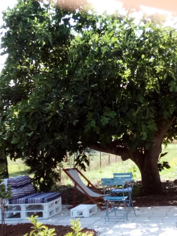 Bed and Breakfast I Fichi Bianchi Cutrofiano Zewnętrze zdjęcie